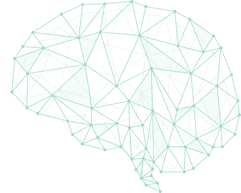 neuro pathways